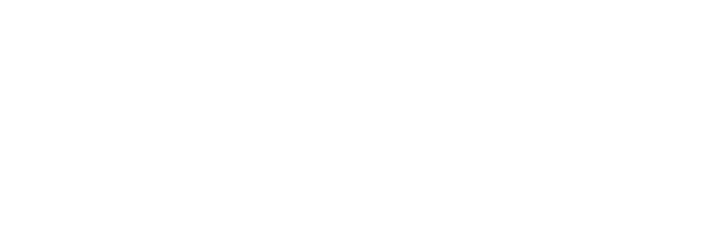 Whip Solutions